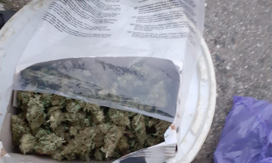 Záchyt konopí a kokainu